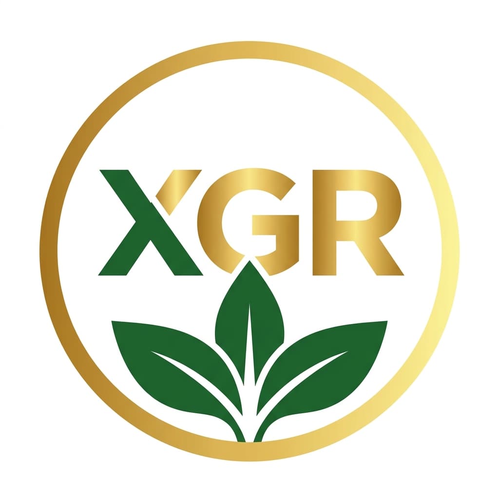 XGR Logo